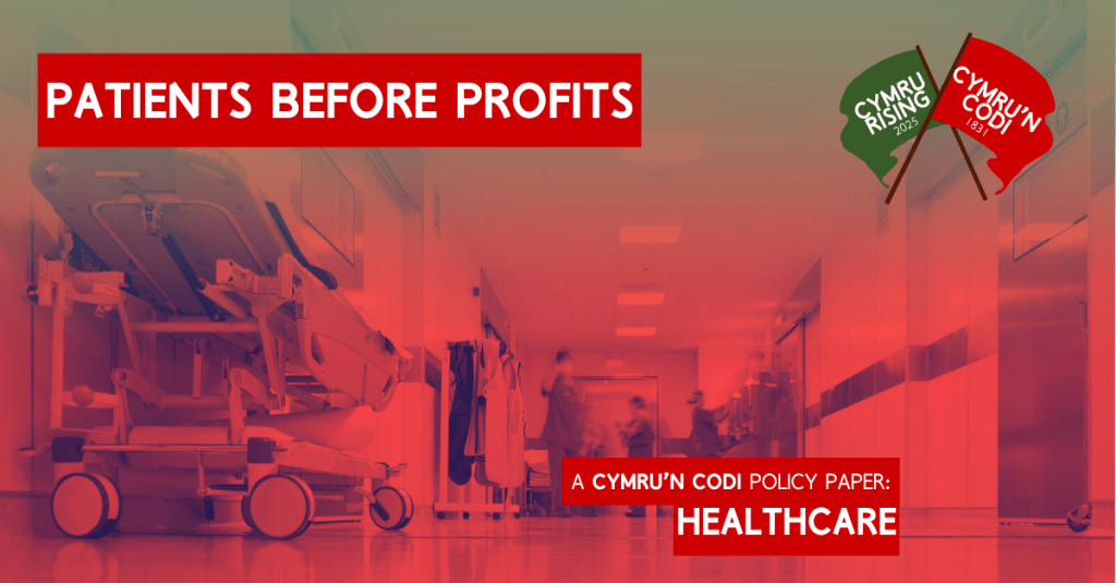 ‘Patients Before Profit’ – Policy Paper on&nbsp;Healthcare