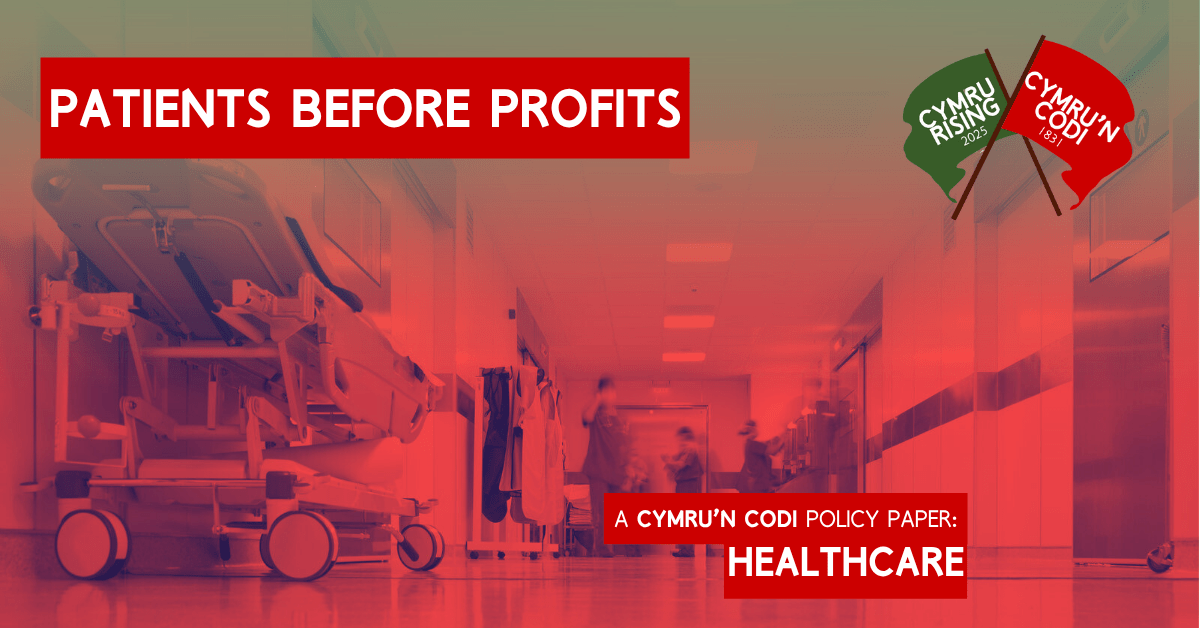 ‘Patients Before Profit’ – Policy Paper on&nbsp;Healthcare