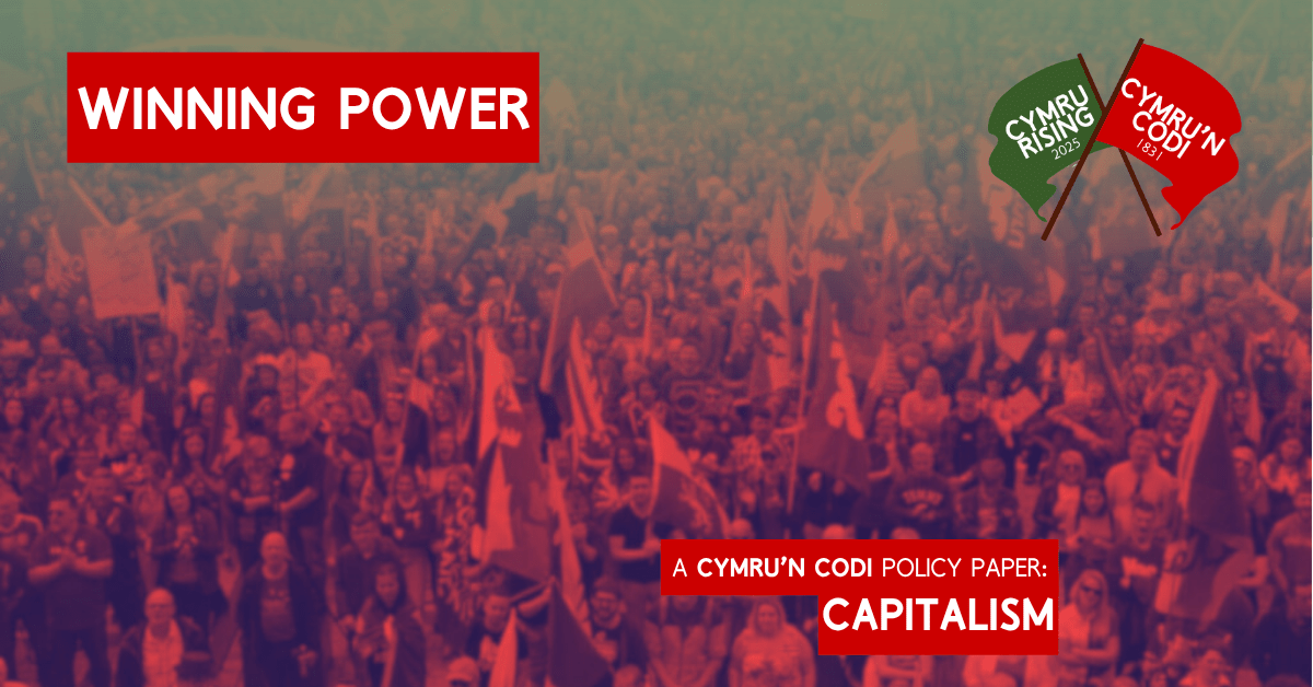‘Winning Power’ – Policy Paper on&nbsp;Capitalism